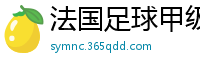 法国足球甲级联赛